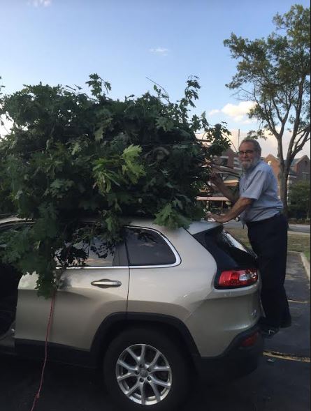 South Brookline Extension Getting Rid of Tree Cuttings During Construction