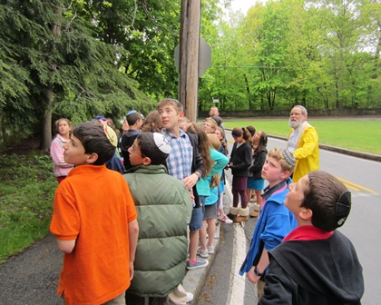 Maimonides School Eruv Tour